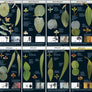 EucaFlip: Life-Sized Guide to the Eucalypts of Tasmania
