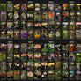 FungiFlip: A Pictorial Guide to Tasmanian Fungi