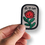 Little Waratah Patch
