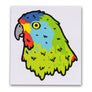 Tasmania's endangered swift parrot bumper sticker