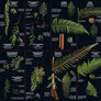 FernFlip: Life-Sized Guide to the Ferns of Tasmania