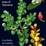 TreeFlip: Life-Sized Guide to the Trees of Tasmania