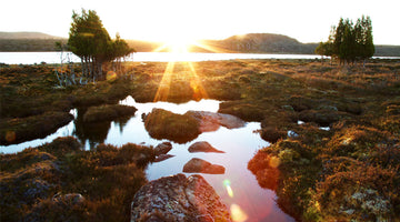 Tasmania's Central Plateau: The Land of a Thousand Lakes