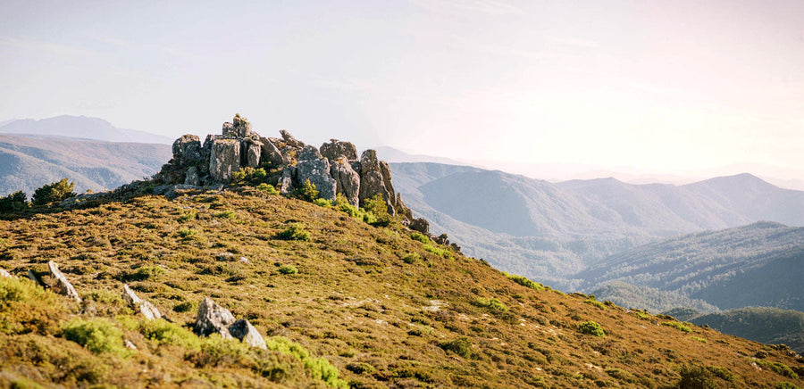 Five Film Photos with... Andy Szöllősi