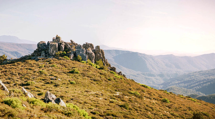 Five Film Photos with... Andy Szöllősi