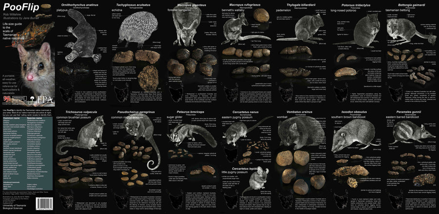 PooFlip: Life-Sized Guide to the Scats of Tasmanian Native Animals