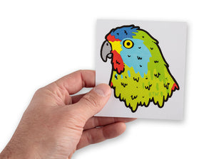 Male hand holding Tasmanian swift parrot bumper sticker
