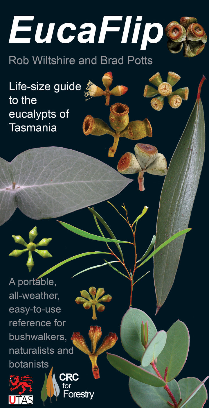 EucaFlip: Life-Sized Guide to the Eucalypts of Tasmania